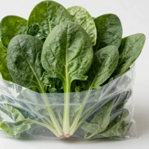 Tender Baby Spinach